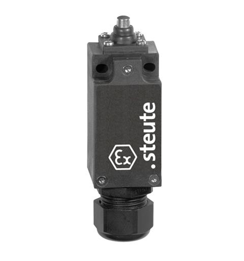 Ex Position switch Ex 95 W (Saltwater) IP66 (1NC/1NO) II 2G Ex de IIC T6